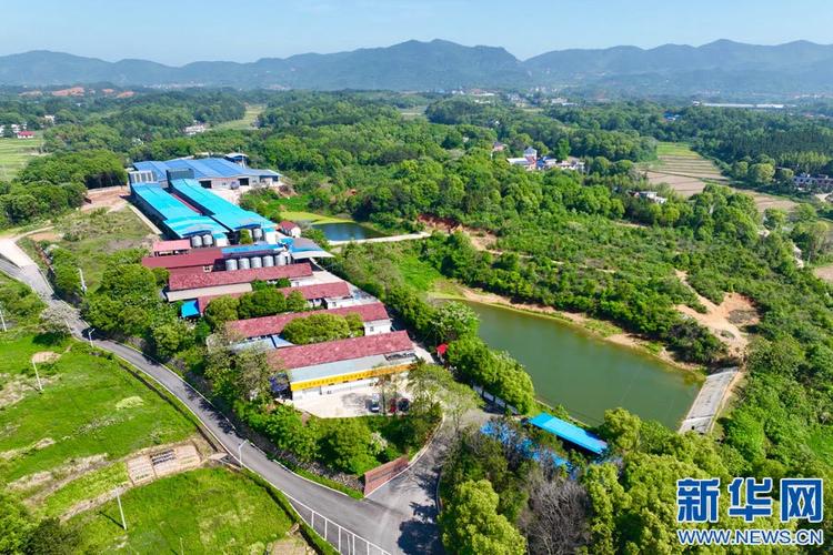 乡村振兴在行动丨科技特派员送技下乡 "慧"就丰收新图景